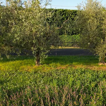 Zvana's - Da Giovanna Imola