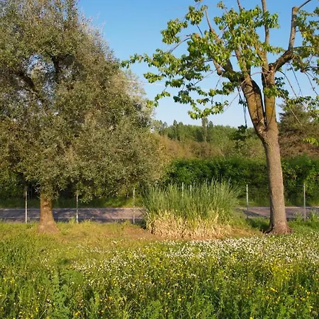 Zvana's - Da Giovanna Bed & Breakfast Imola