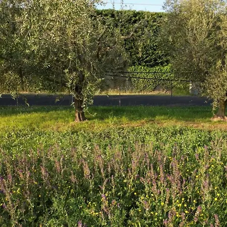 Zvana's - Da Giovanna Bed & Breakfast