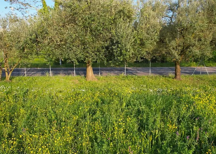 Zvana's - Da Giovanna Bed & Breakfast