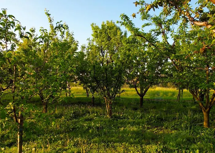 Bed & Breakfast Zvana's - Da Giovanna