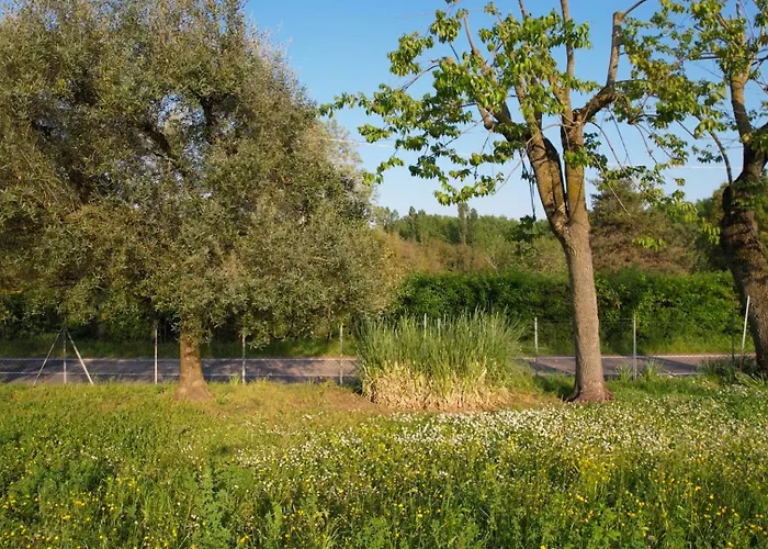 Zvana's - Da Giovanna Bed & Breakfast Imola