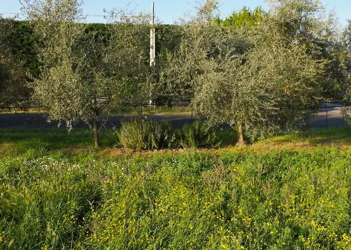 Bed & Breakfast Zvana's - Da Giovanna Imola