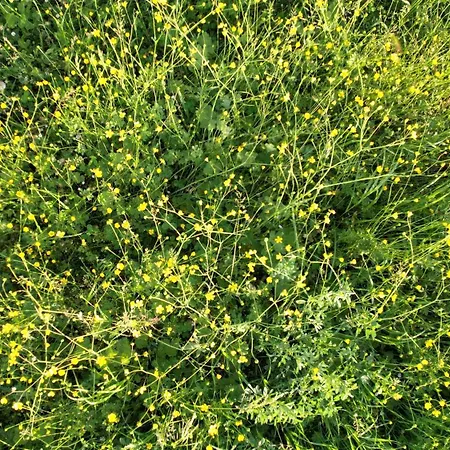 Bed and Breakfast Zvana's - Da Giovanna 3*