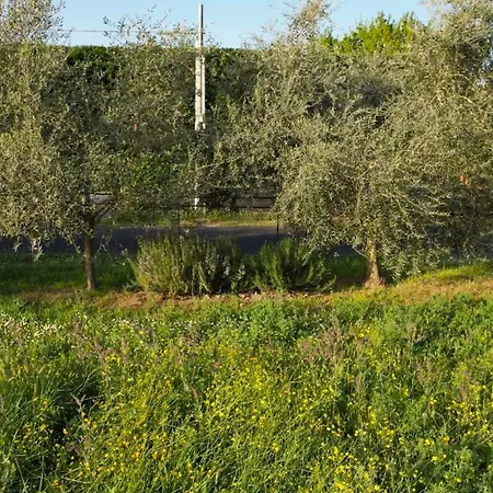 לינה וארוחת בוקר Zvana's - Da Giovanna אימולה