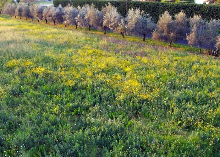 Zvana's - Da Giovanna Bed and Breakfast 3*