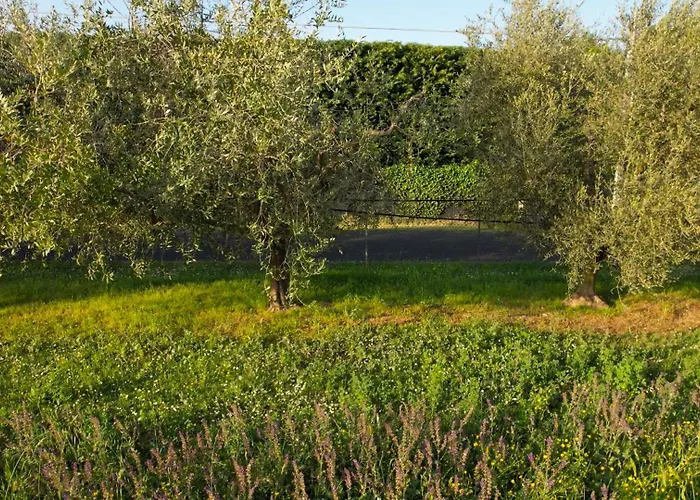 Zvana's - Da Giovanna Imola