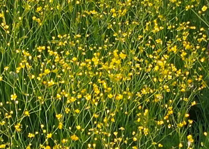 Zvana's - Da Giovanna Panzió