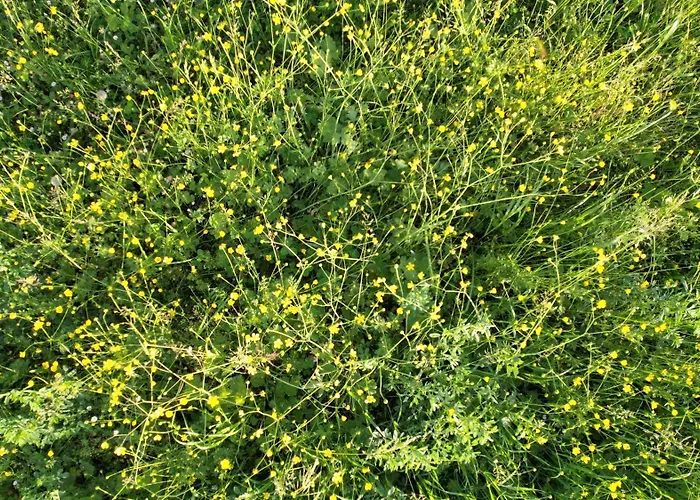 Bed and Breakfast Zvana's - Da Giovanna 3*