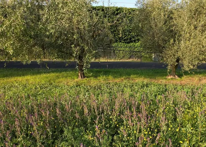 Zvana's - Da Giovanna Bed and Breakfast